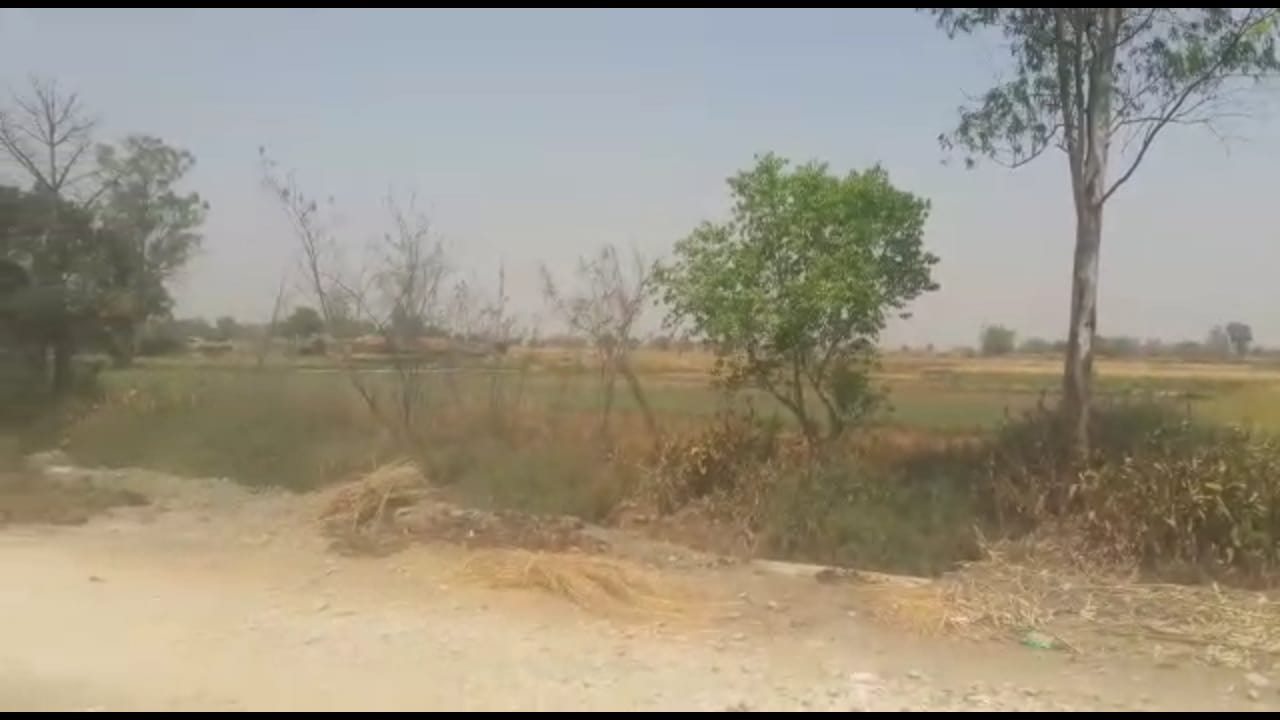 sasti bikau jameen in Gurgaon Haryana